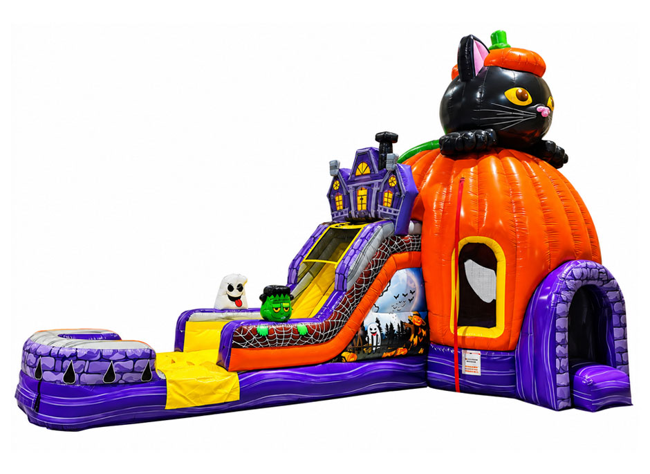 Purr-fect Pumpkin Combo
